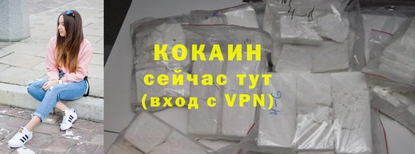 дживик Богородск