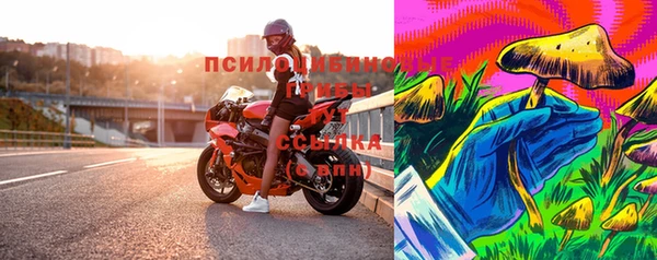 тгк Бородино