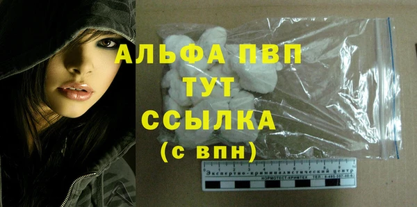 тгк Бородино