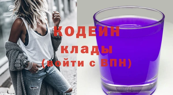 дживик Богородск