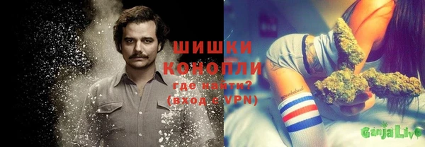 МДПВ Богородицк