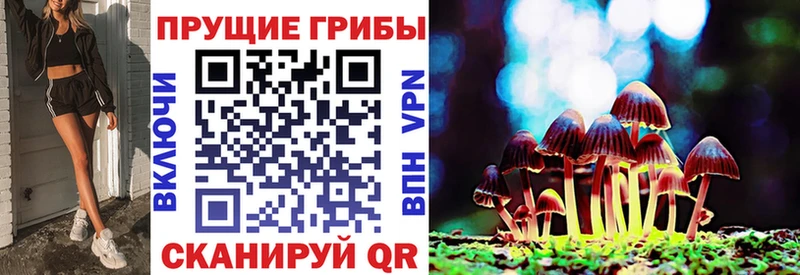 купить закладку нарко площадка состав Псилоцибиновые грибы Psilocybine cubensis Севастополь MEGA ссылки