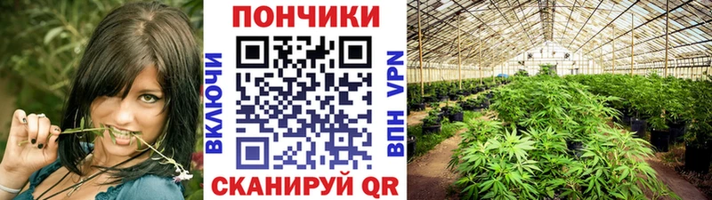 хочу наркоту  Севастополь  МАРИХУАНА индика 